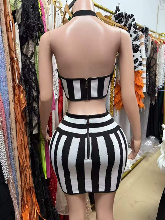 Zebra Skirt Set