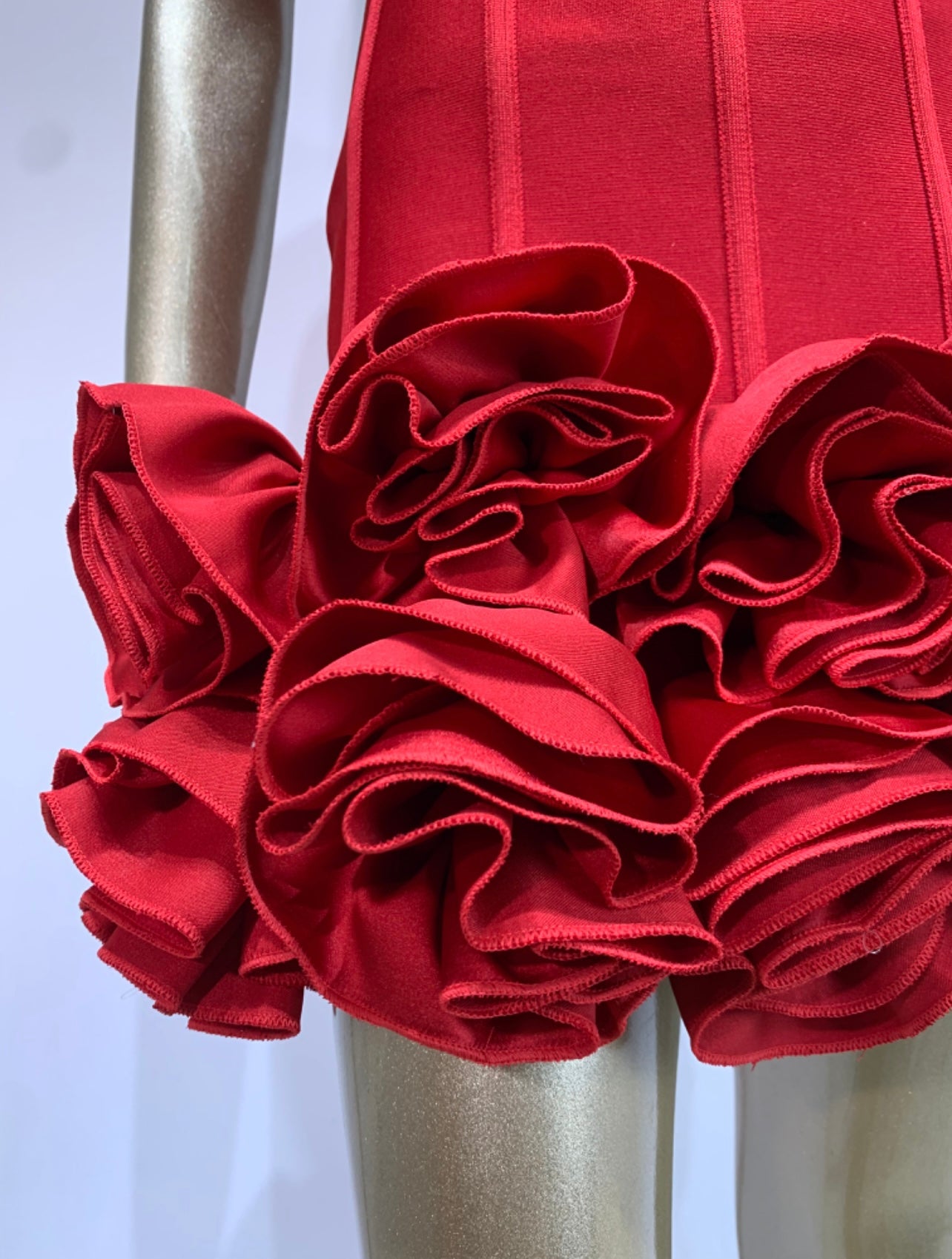 Ruby Red Rose Dress