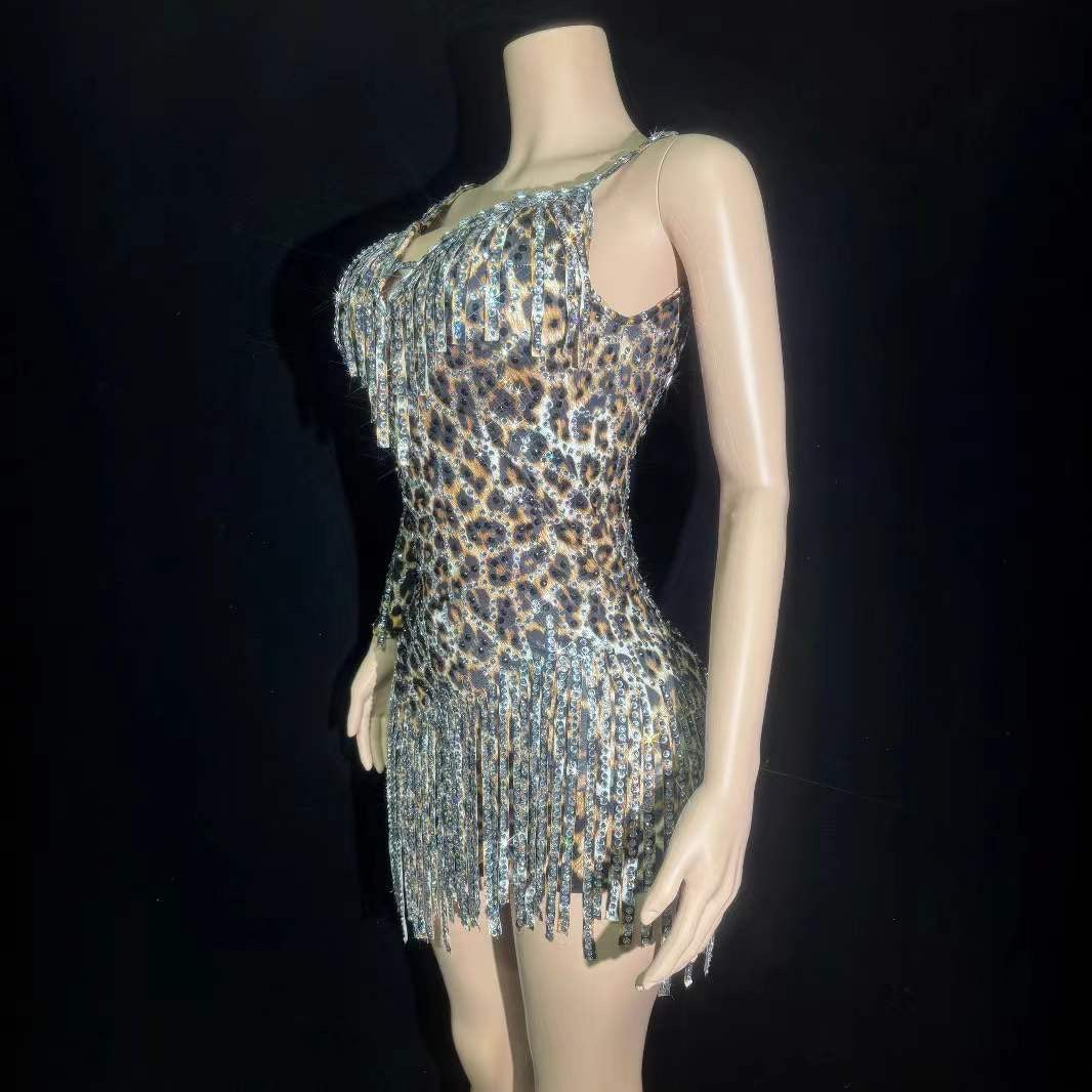 Latty Leaopard Dress