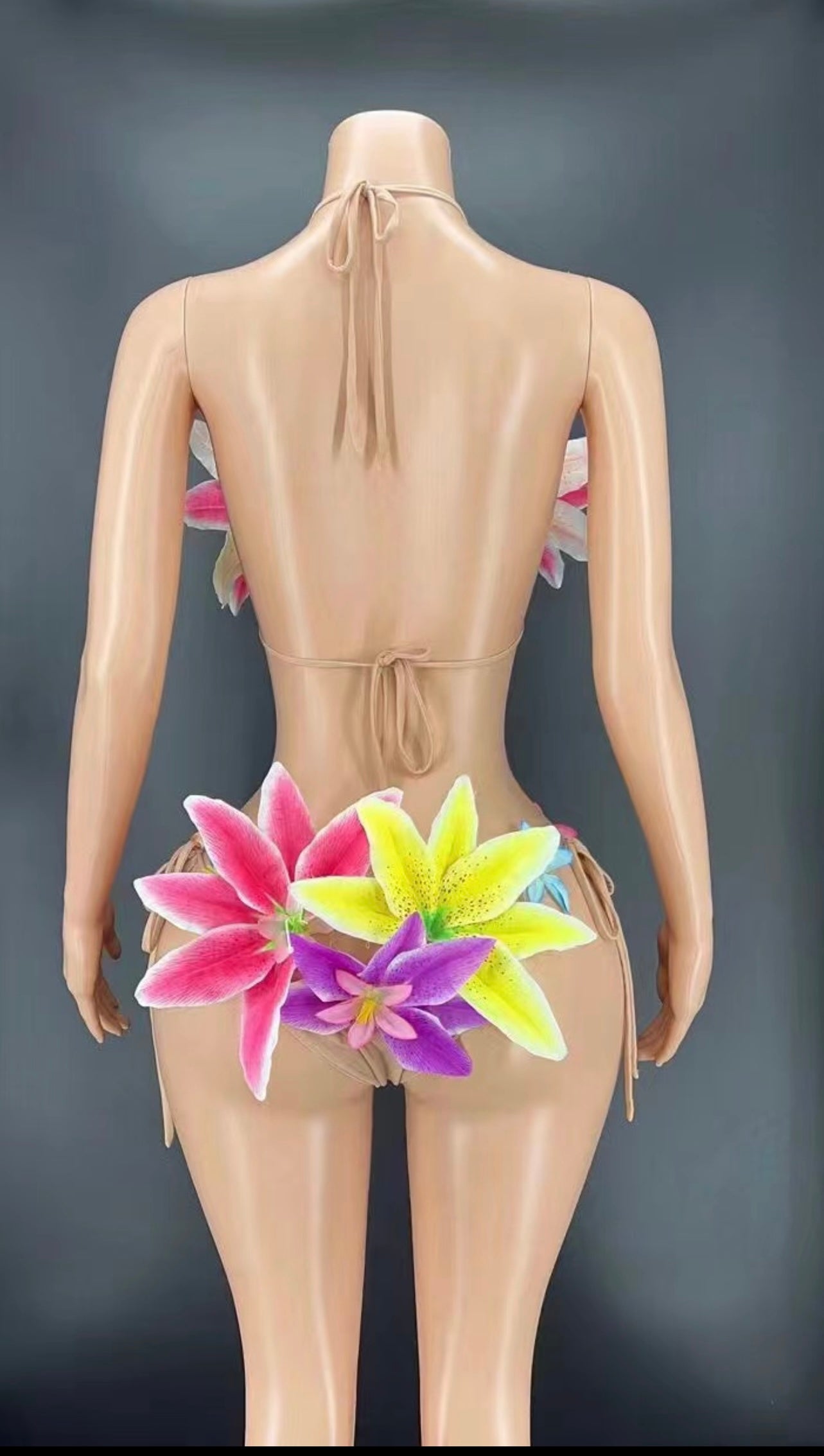 Catalina (Swimsuit )