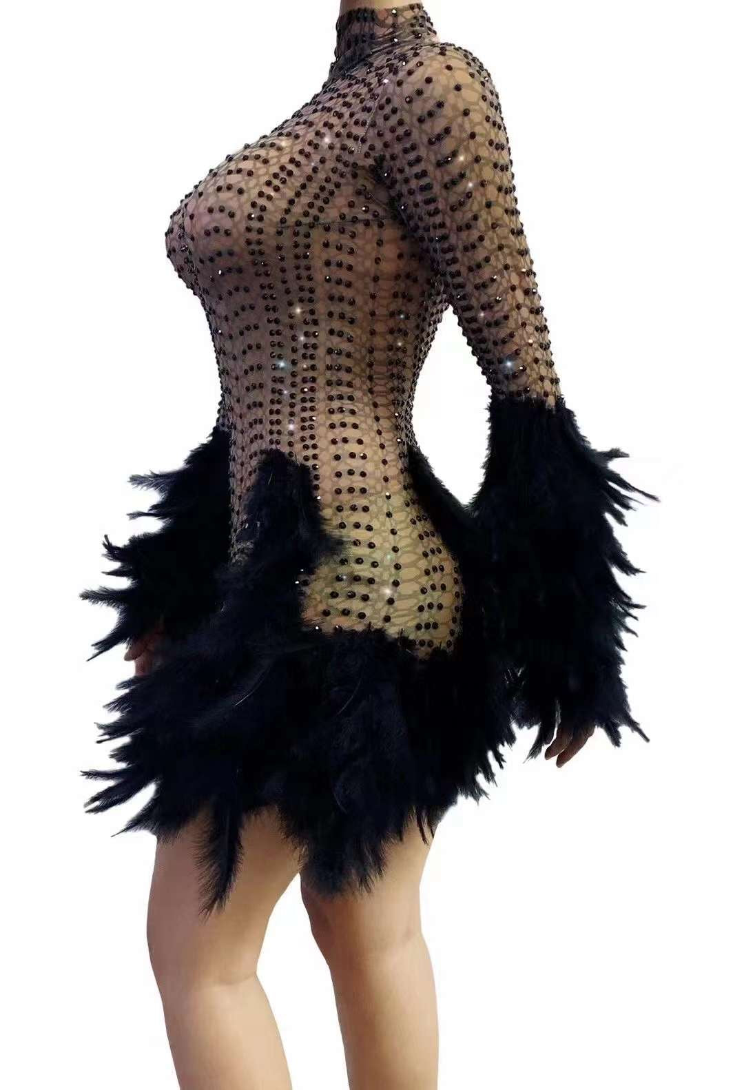 Black feather  Dress