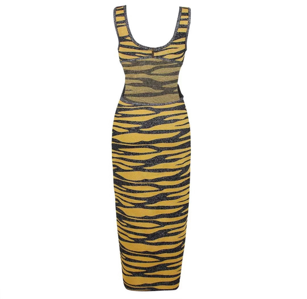 Zebra Dress